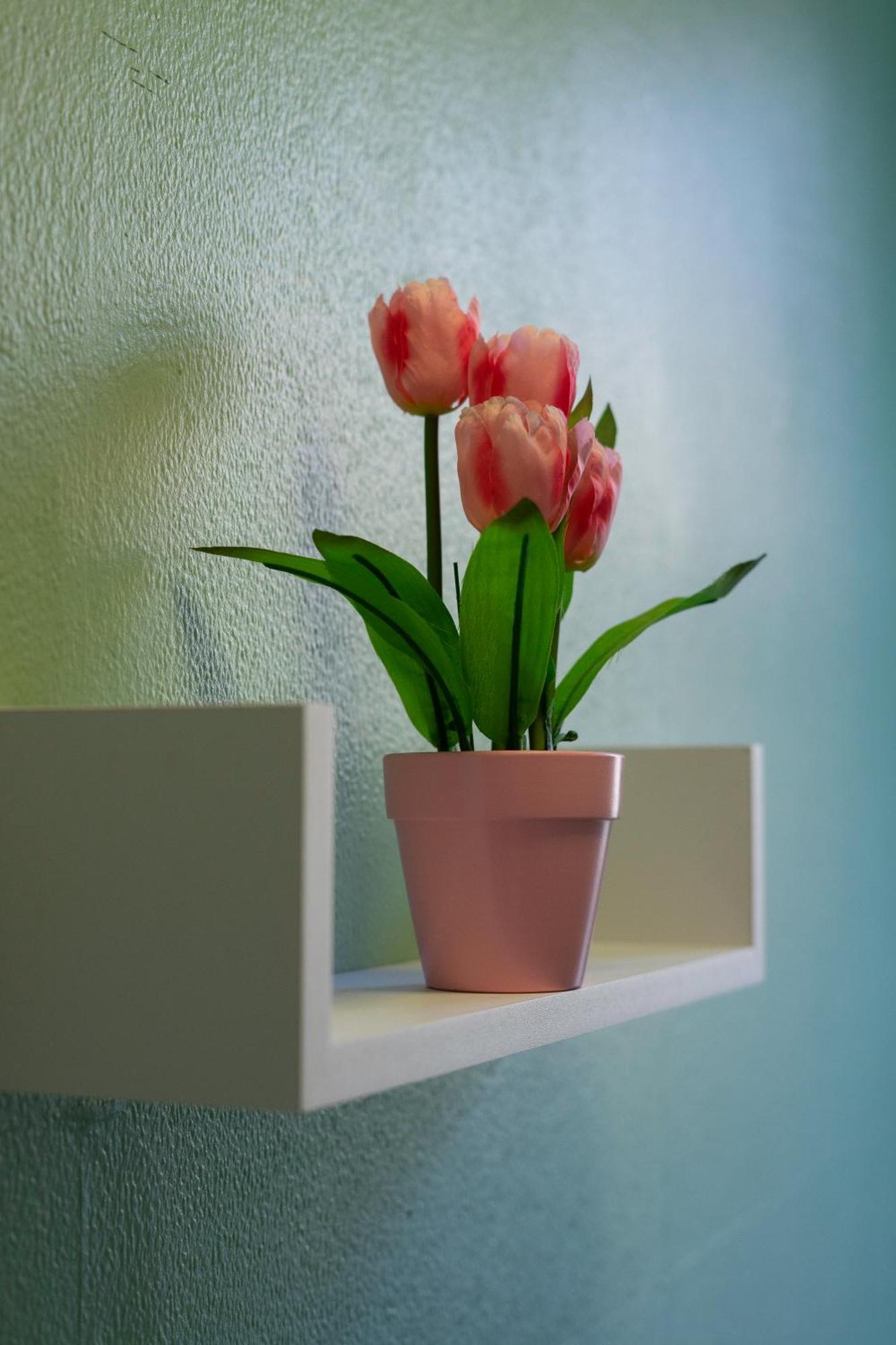 The Eden Apartment, Edinburgh City Center Luaran gambar